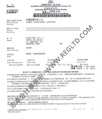 香港公司注册证书